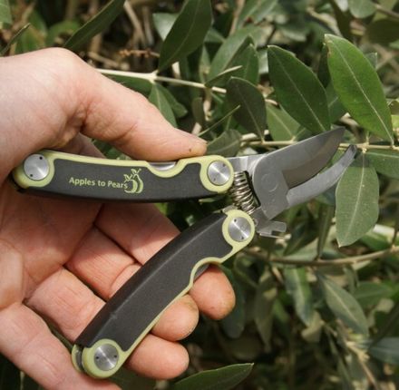 Folding Pocket Secateurs - Apple Green