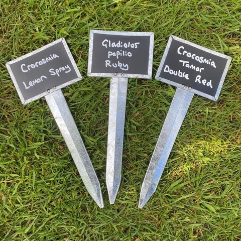 Blackboard Marker Plant Label - single