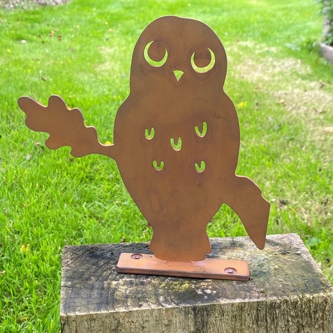 Barn Owl