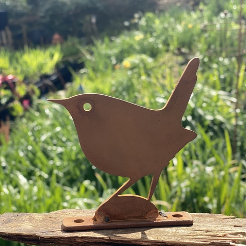 Wren
