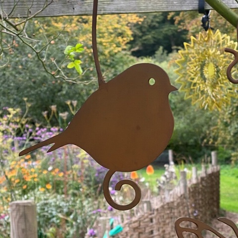 Hanging Robin