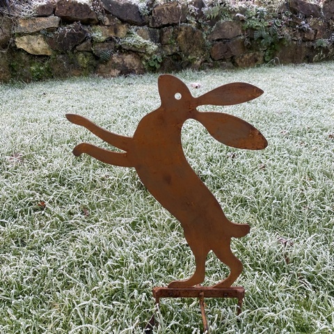 Dancing Hare