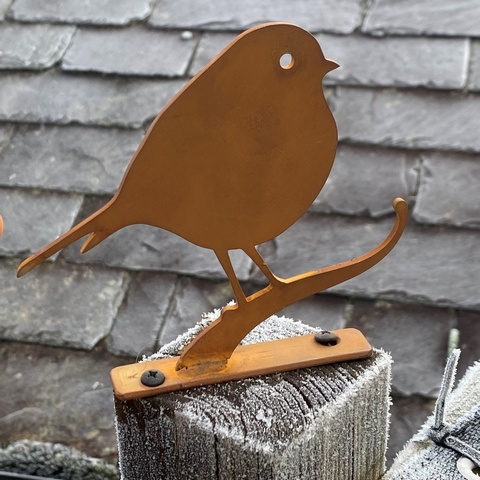 Robin