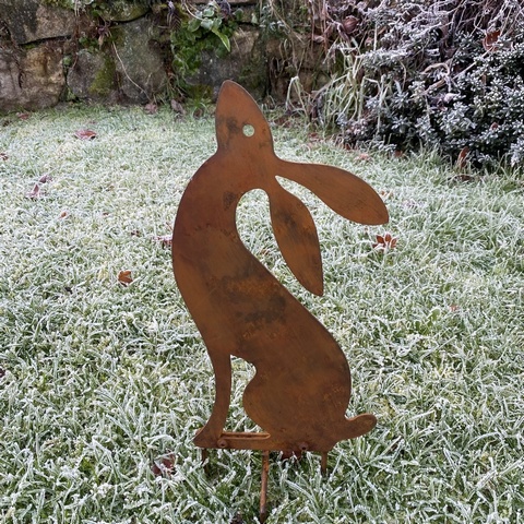 Moon Gazing Hare