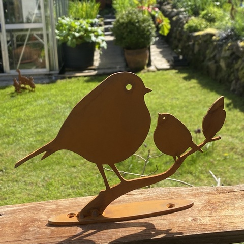 Robin & Baby