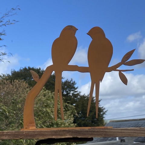 Resting Swallows