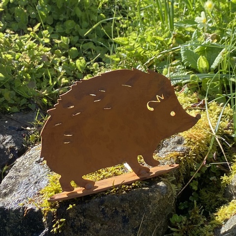 Hedgehog Mother
