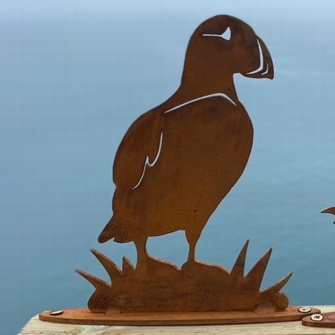 Puffin