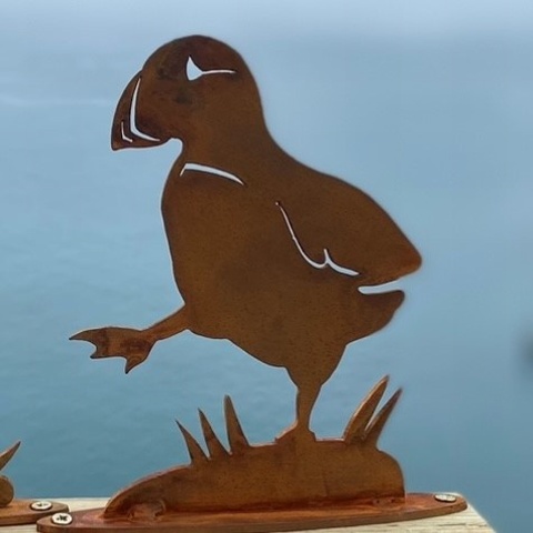 Dancing Puffin