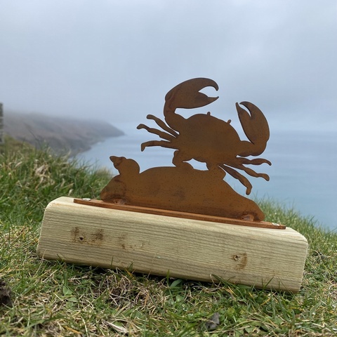 Dancing Crab
