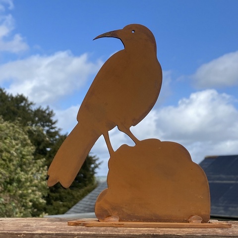 Cornish Chough