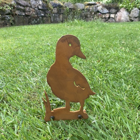 Dorothy Duckling