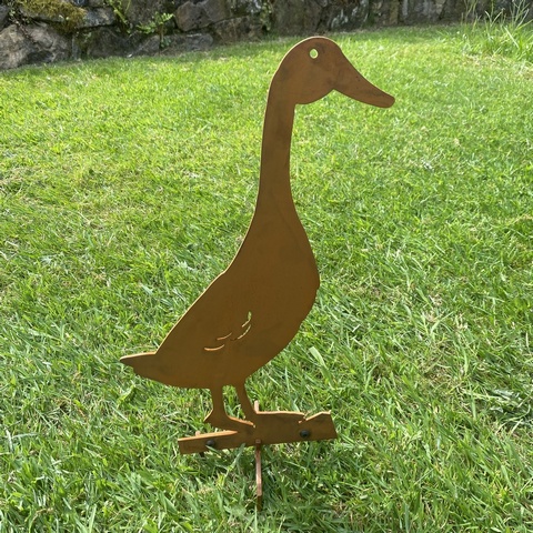 Indian Runner Duck - Donald