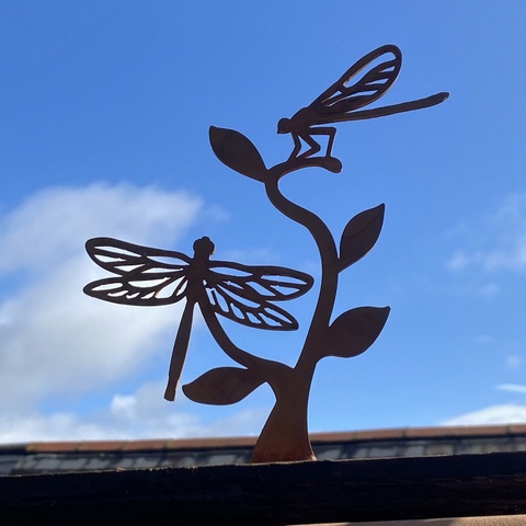 Dragonfly & Damselfly