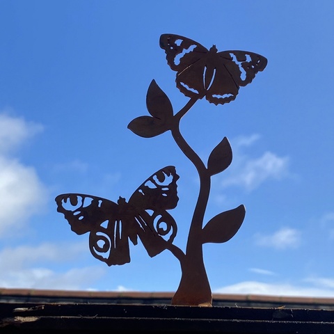 Red Admiral & Peacock Butterflies