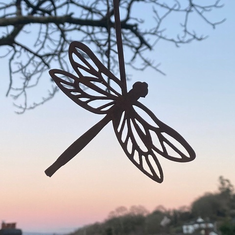 Dragonfly Hanger