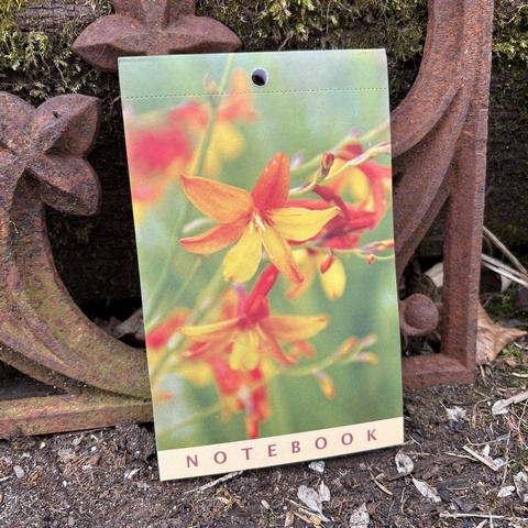 Crocosmia Pocket Notepad