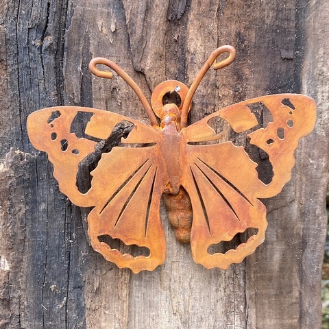 Red Admiral Butterfly